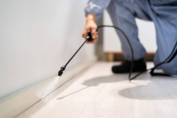 Licensed Cockroach Control service in Marshall County County, OK - Nex Pest Control
