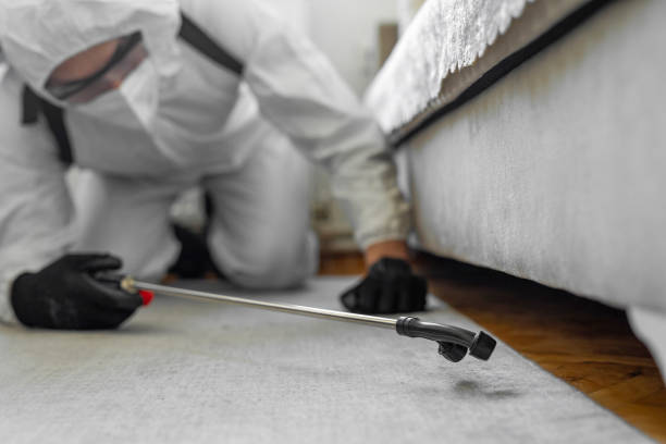 Professional Cockroach Control technician working in Marshall County County, OK